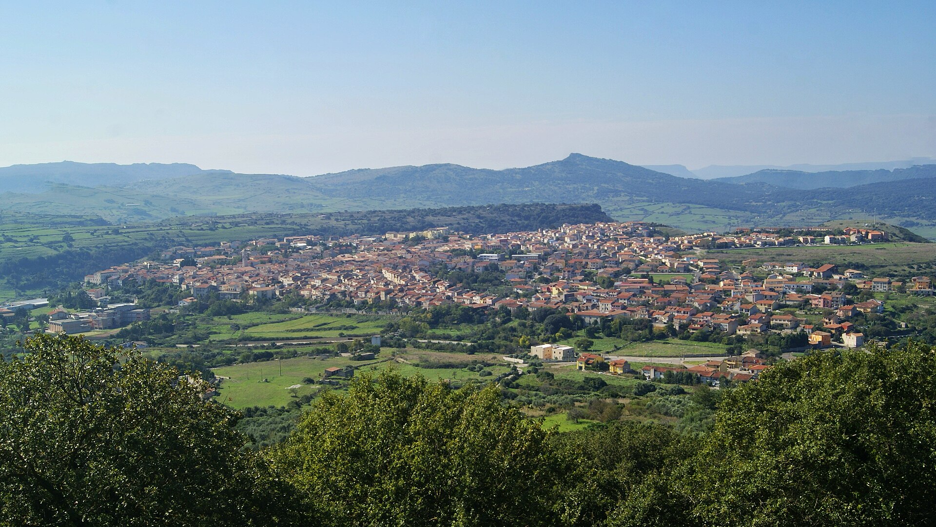 Thiesi seen from Monte Pelao, red roofs among the green tablelands of the Meilogu